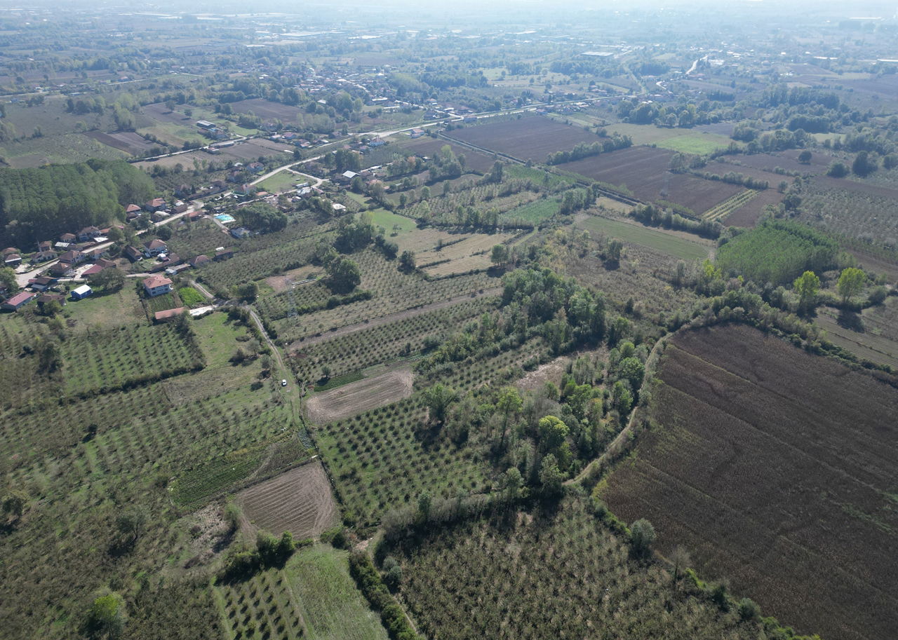 ÇİLİMLİ FİDENİKÜRTLER KÖYÜ'NDE 7965 M2 SATILIK TARIM ARAZİLERİ