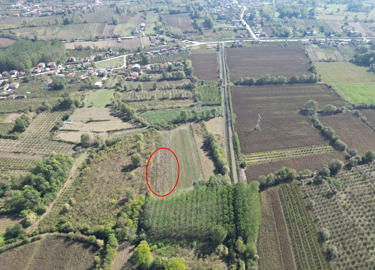 ÇİLİMLİ FİDENİKÜRTLER KÖYÜ'NDE 7965 M2 SATILIK TARIM ARAZİLERİ