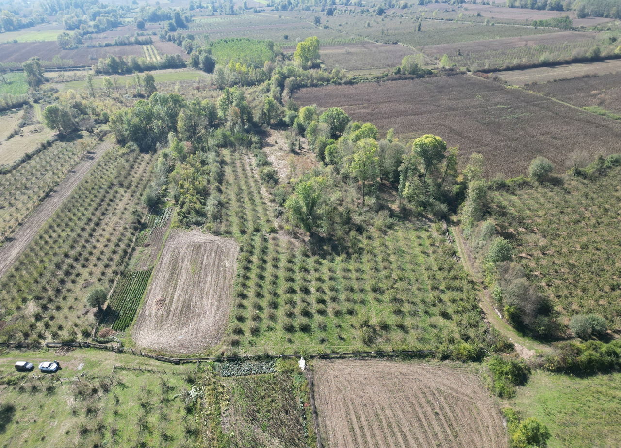 ÇİLİMLİ FİDENİKÜRTLER KÖYÜ'NDE 7965 M2 SATILIK TARIM ARAZİLERİ