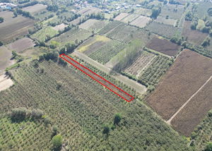 Düzce  Satılık  Arsa