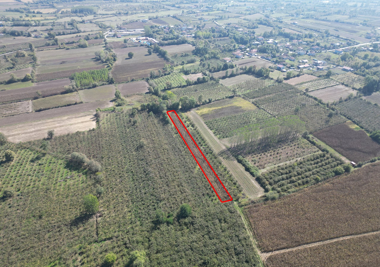 ÇİLİMLİ İSHAKLAR KÖYÜ'NDE 1782 M2 SATILIK ARSA