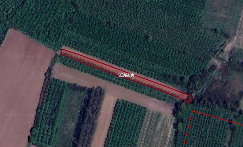 ÇİLİMLİ İSHAKLAR KÖYÜ'NDE 1782 M2 SATILIK ARSA