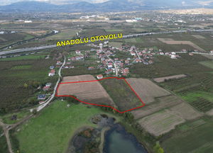 Düzce  Satılık  Arsa