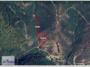 Düzce  Satılık  Fındıklık