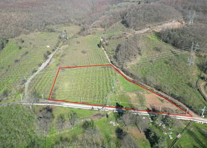 Düzce  Satılık  Arsa