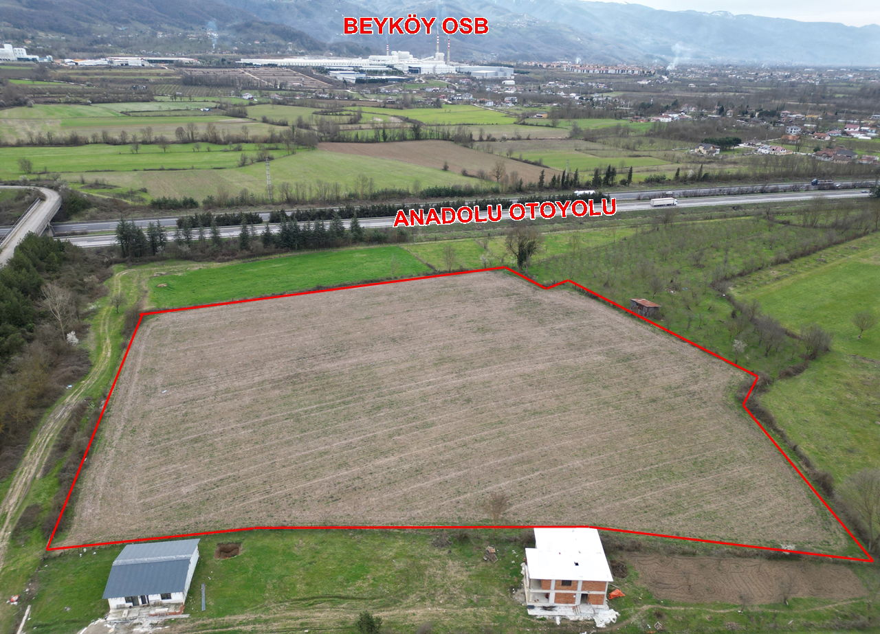 PAŞAORMANI KÖYÜ'NDE 20352 M2 SATILIK TARIM ARAZİSİ 