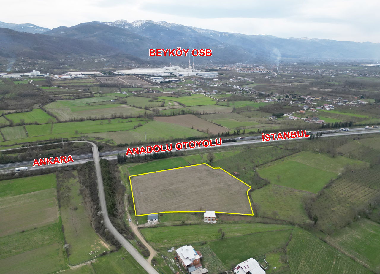 PAŞAORMANI KÖYÜ'NDE 20352 M2 SATILIK TARIM ARAZİSİ 