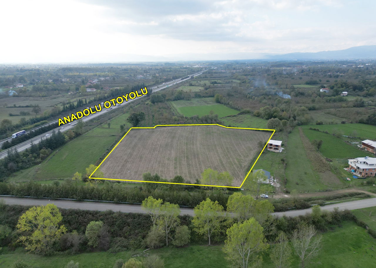 PAŞAORMANI KÖYÜ'NDE 20352 M2 SATILIK TARIM ARAZİSİ 