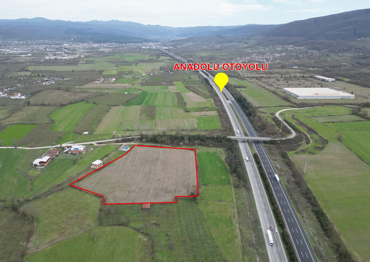 PAŞAORMANI KÖYÜ'NDE 20352 M2 SATILIK TARIM ARAZİSİ 