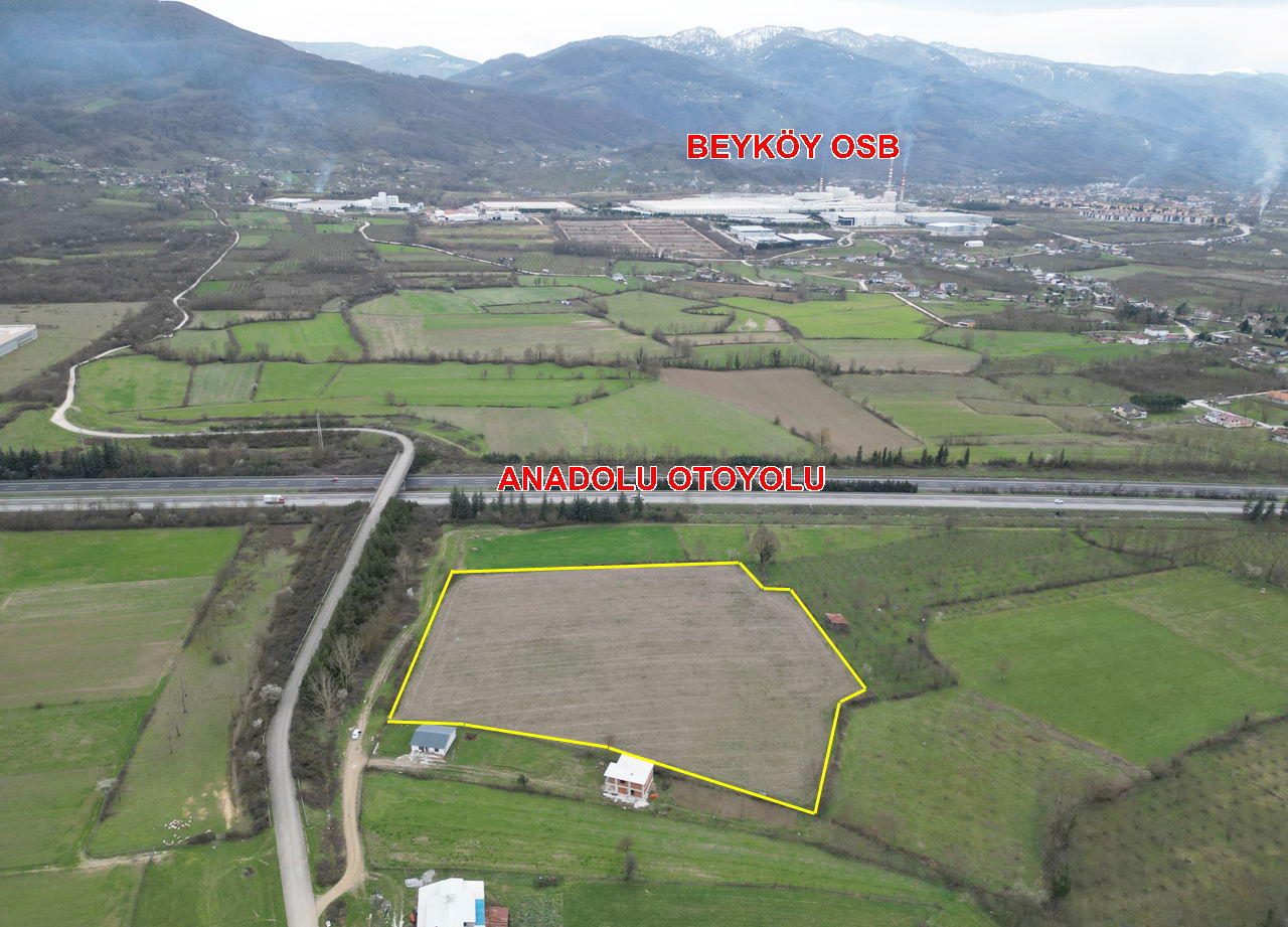 PAŞAORMANI KÖYÜ'NDE 20352 M2 SATILIK TARIM ARAZİSİ 