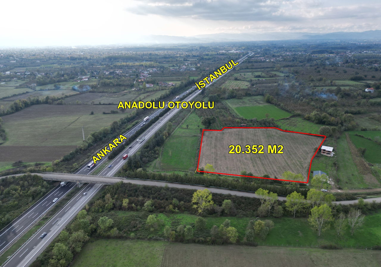PAŞAORMANI KÖYÜ'NDE 20352 M2 SATILIK TARIM ARAZİSİ 