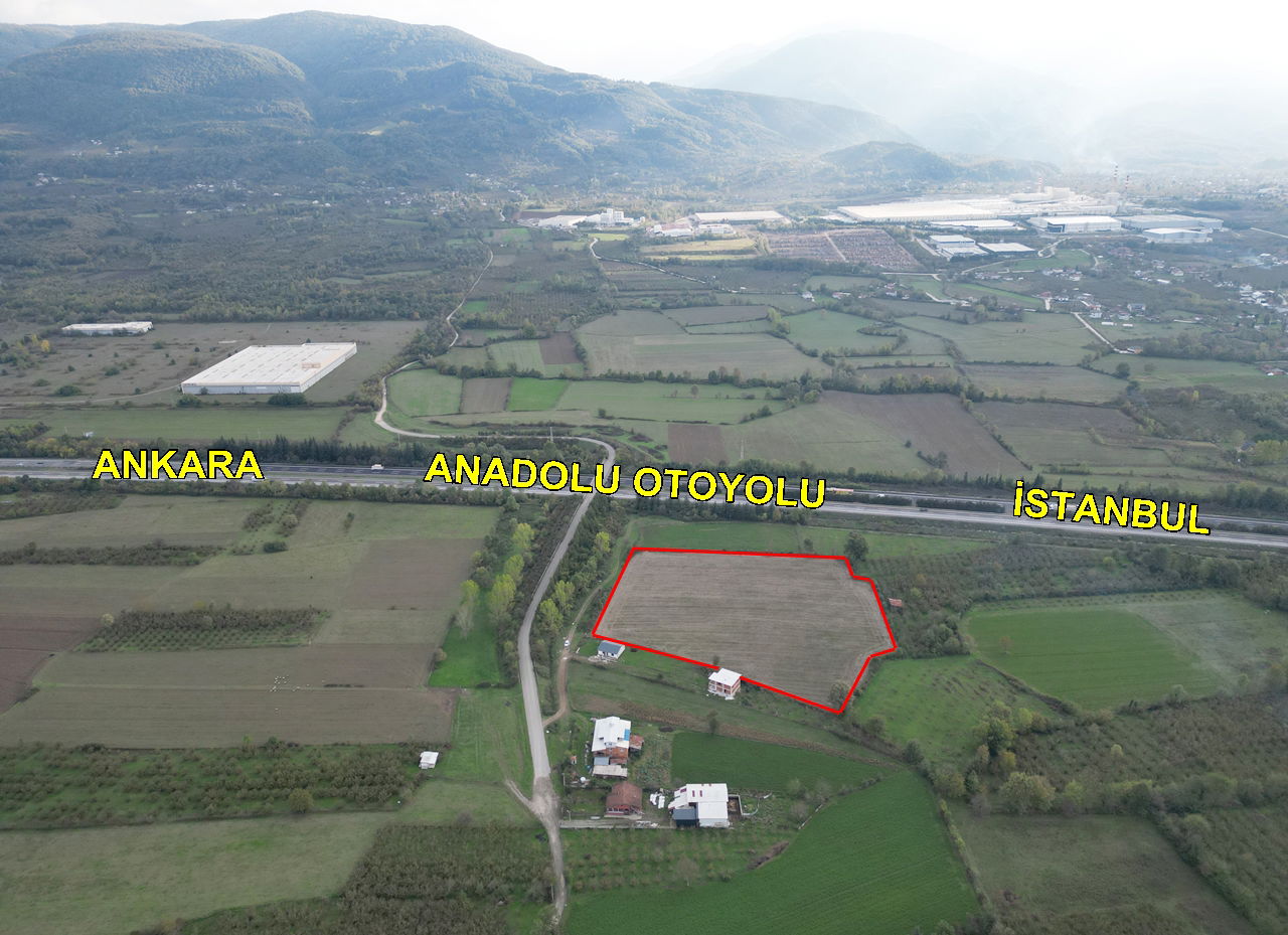 PAŞAORMANI KÖYÜ'NDE 20352 M2 SATILIK TARIM ARAZİSİ 