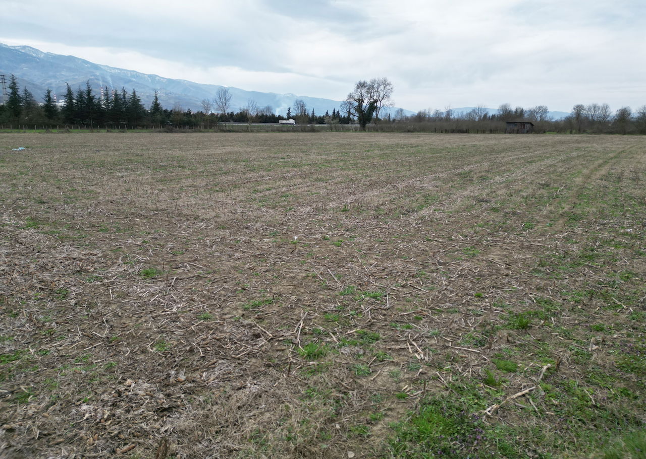 PAŞAORMANI KÖYÜ'NDE 20352 M2 SATILIK TARIM ARAZİSİ 