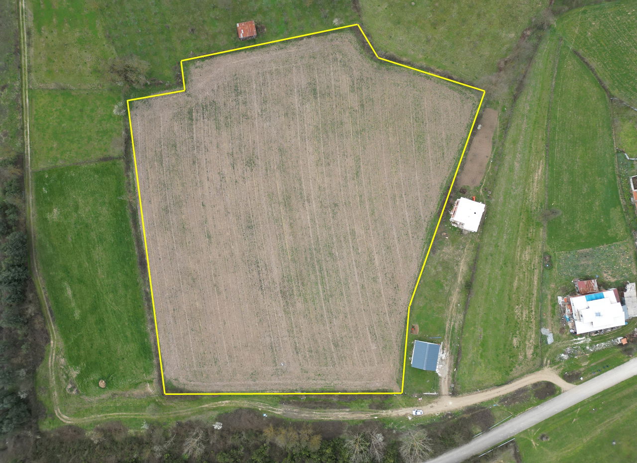 PAŞAORMANI KÖYÜ'NDE 20352 M2 SATILIK TARIM ARAZİSİ 