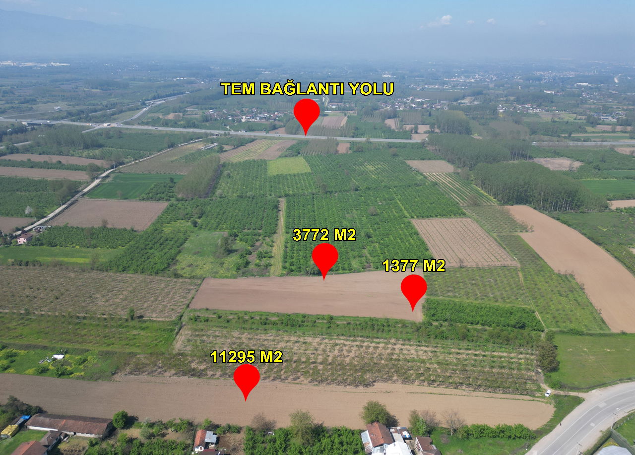 SİNİRCİ KÖYÜ'NDE 1377 - 3772   VE 11295 M2 SATILIK ARSALAR