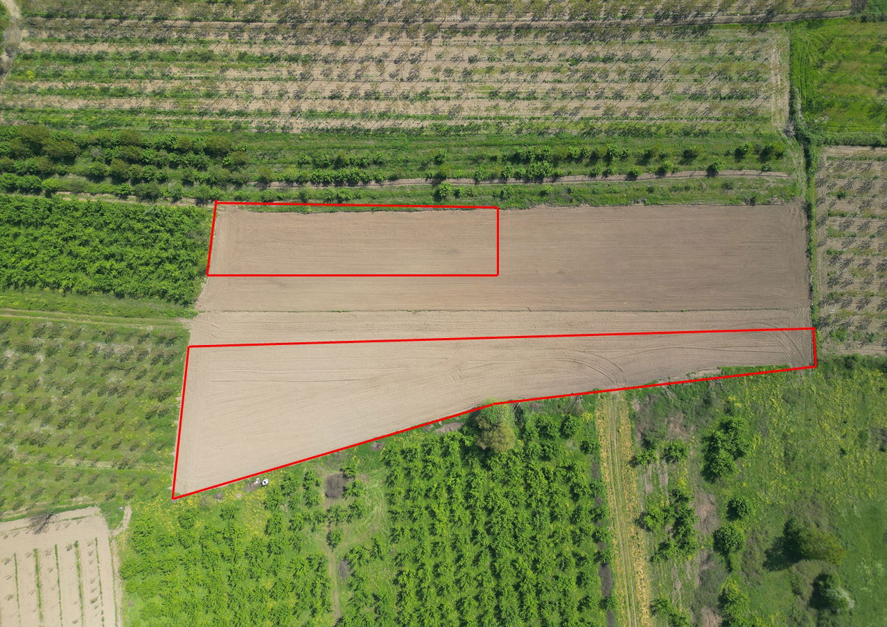 SİNİRCİ KÖYÜ'NDE 1377 - 3772   VE 11295 M2 SATILIK ARSALAR