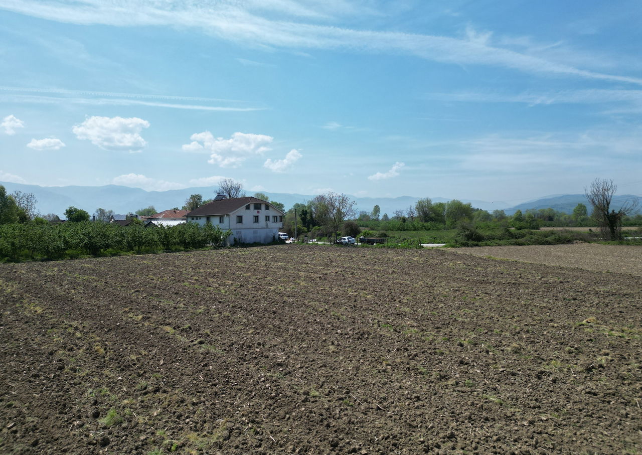 KARADERE HASANAĞA KÖYÜ'NDE 15816 M2 SATILIK ARSA