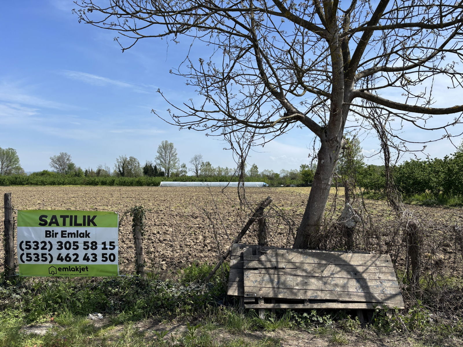 KARADERE HASANAĞA KÖYÜ'NDE 15816 M2 SATILIK ARSA