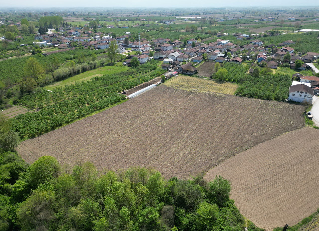KARADERE HASANAĞA KÖYÜ'NDE 15816 M2 SATILIK ARSA