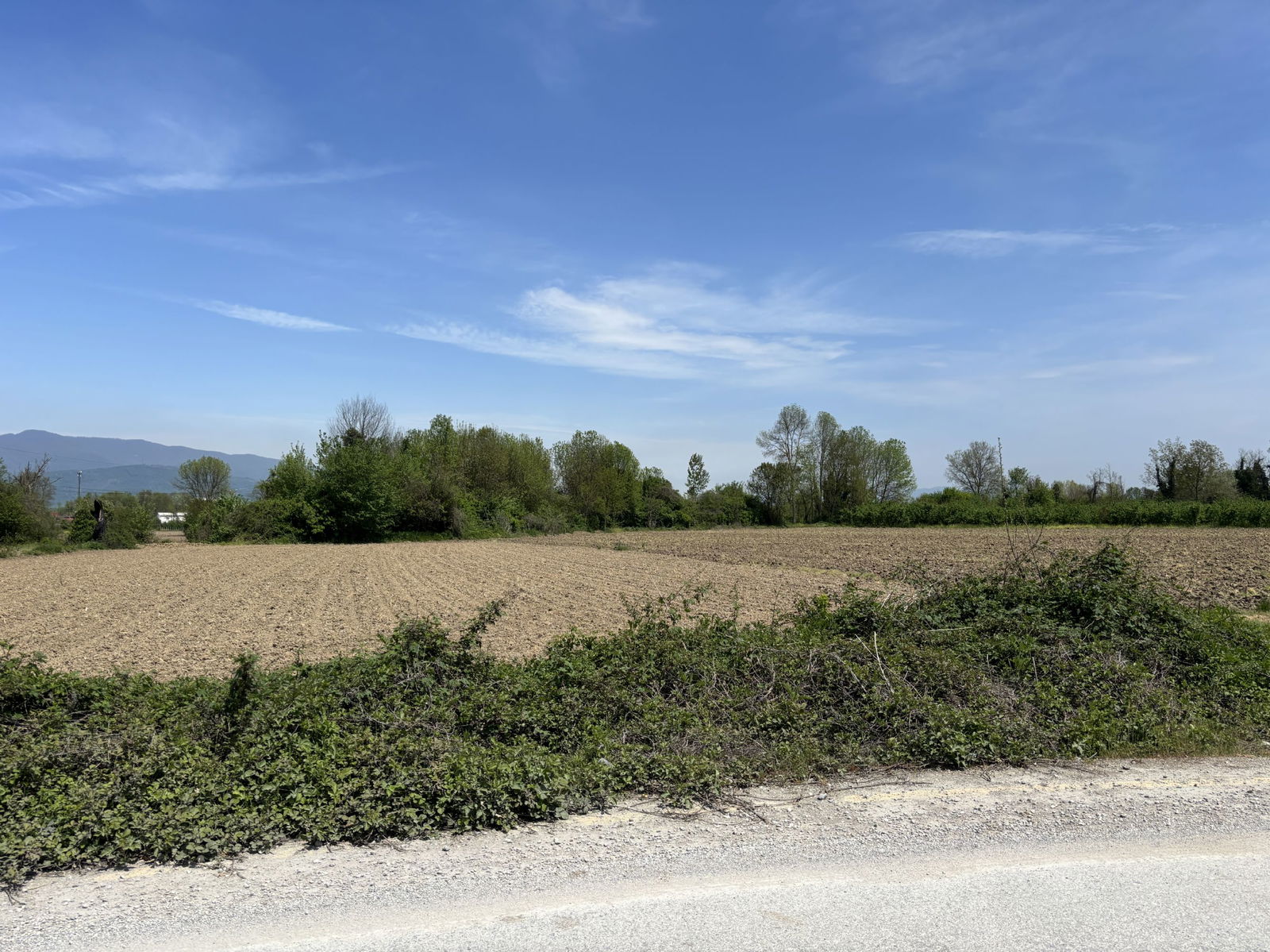 KARADERE HASANAĞA KÖYÜ'NDE 15816 M2 SATILIK ARSA