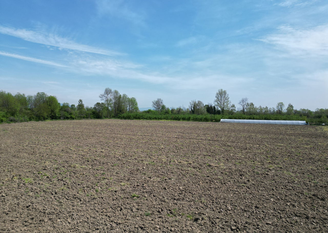 KARADERE HASANAĞA KÖYÜ'NDE 15816 M2 SATILIK ARSA