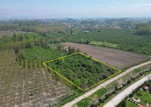 Düzce  Satılık  Arsa