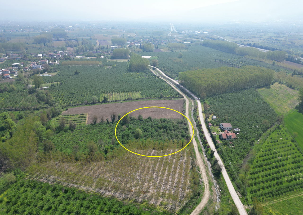 SİNİRCİ KÖYÜ'NDE 5033 M2 SATILIK ARSA