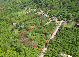 Düzce  Satılık  Arsa