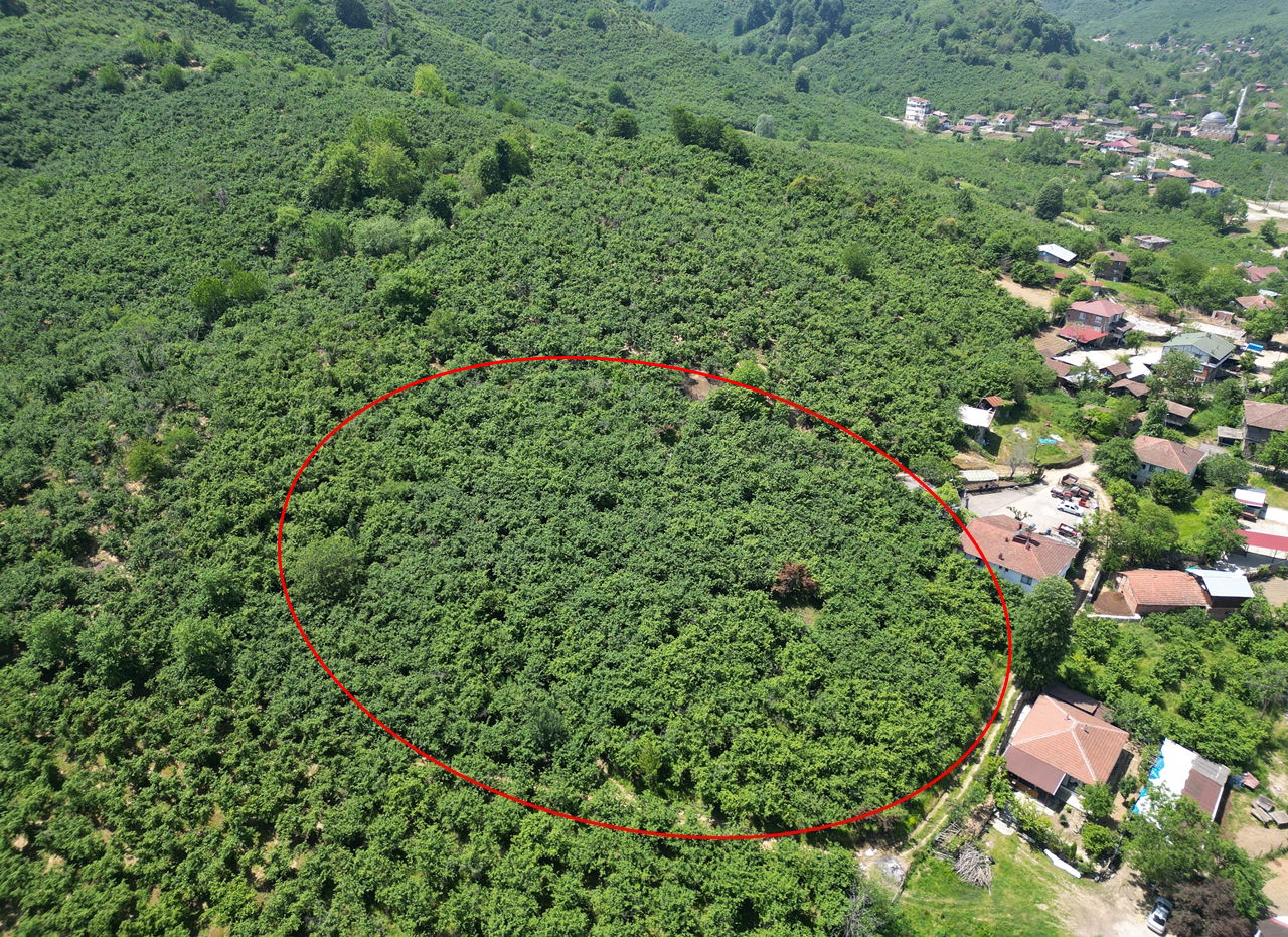 Satılık Arsa 1,450,000 TL