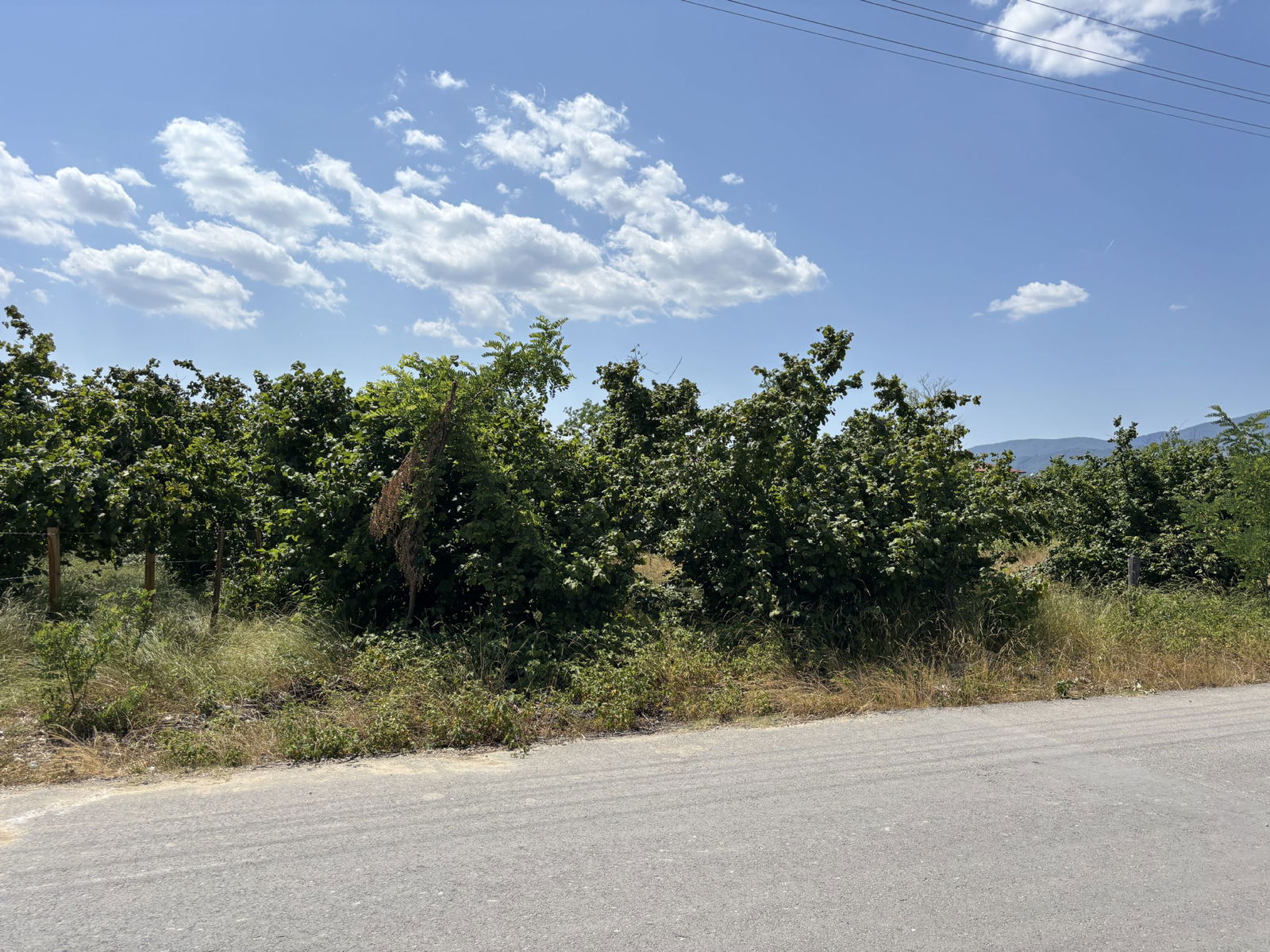 Satılık Arsa 5,875,000 TL