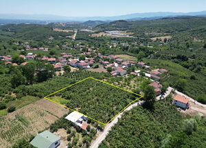 Düzce  Satılık  Arsa