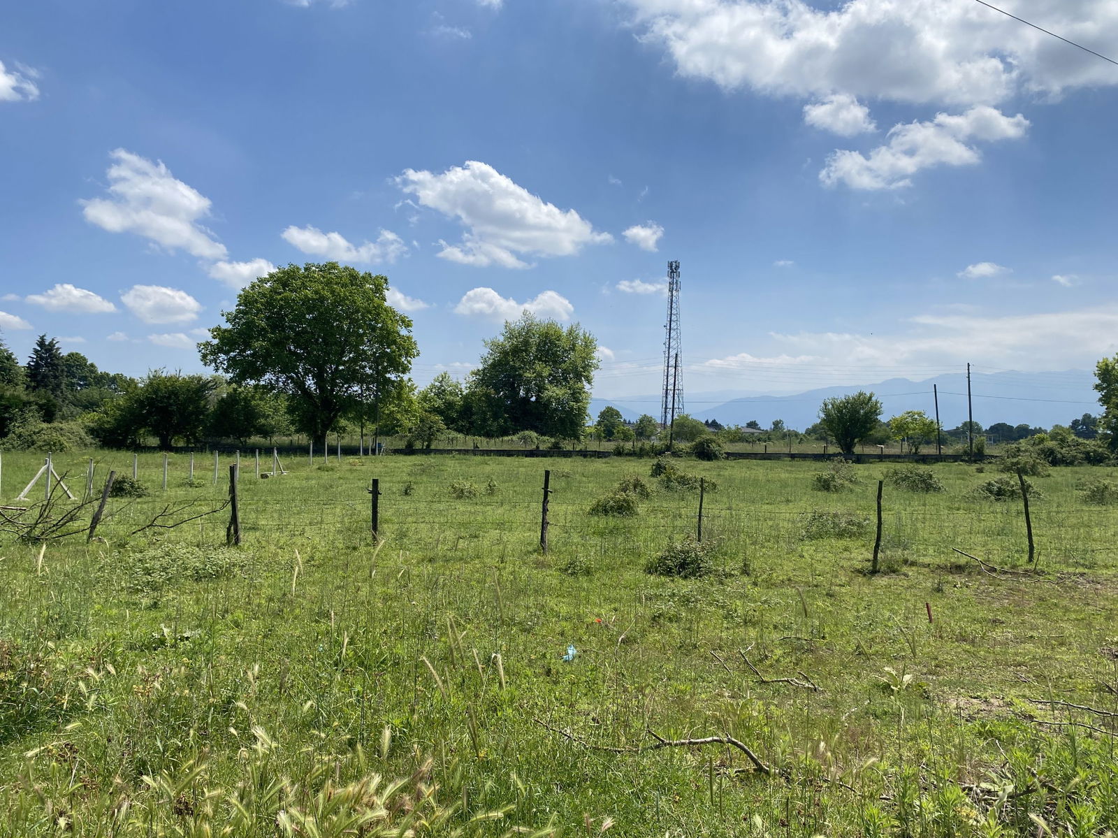  SARAYYERİ MAHALLESİ'NDE 1239 M2 SATILIK ARSA  