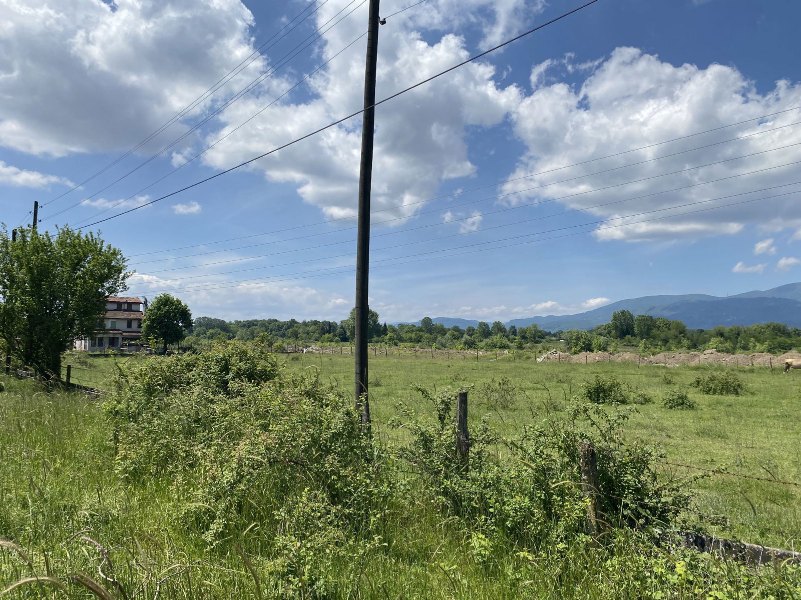  SARAYYERİ MAHALLESİ'NDE 1239 M2 SATILIK ARSA  