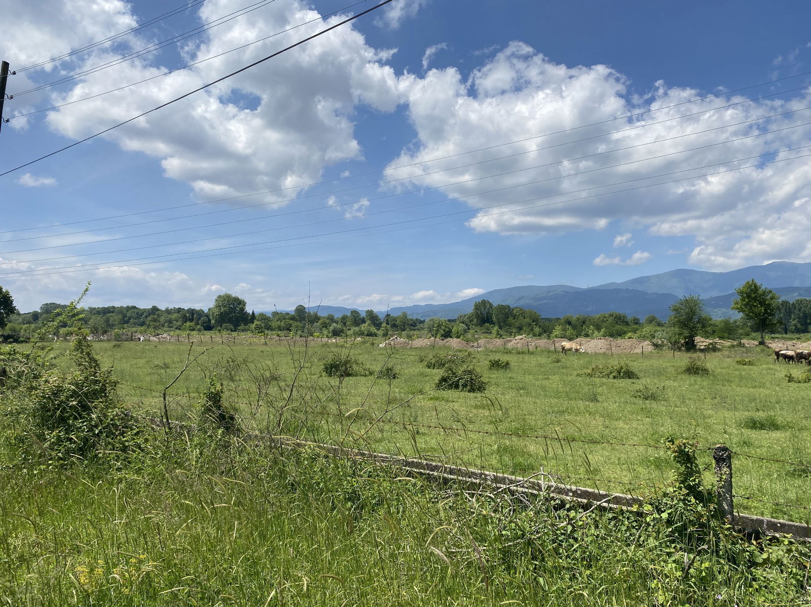  SARAYYERİ MAHALLESİ'NDE 1239 M2 SATILIK ARSA  