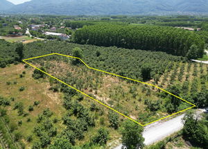 Düzce  Satılık  Arsa