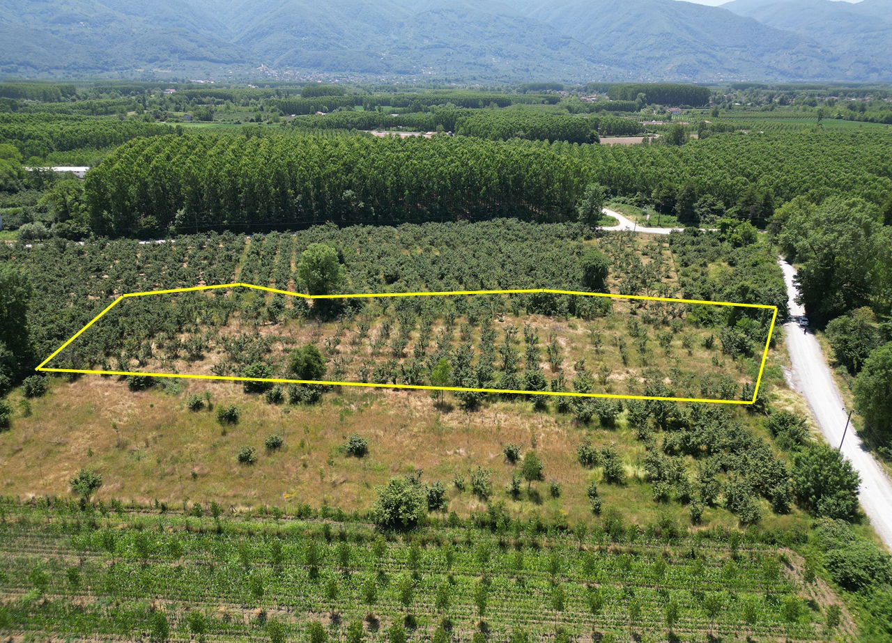 DURAKLAR KÖYÜ'NDE 5931 M2 SATILIK ARSA