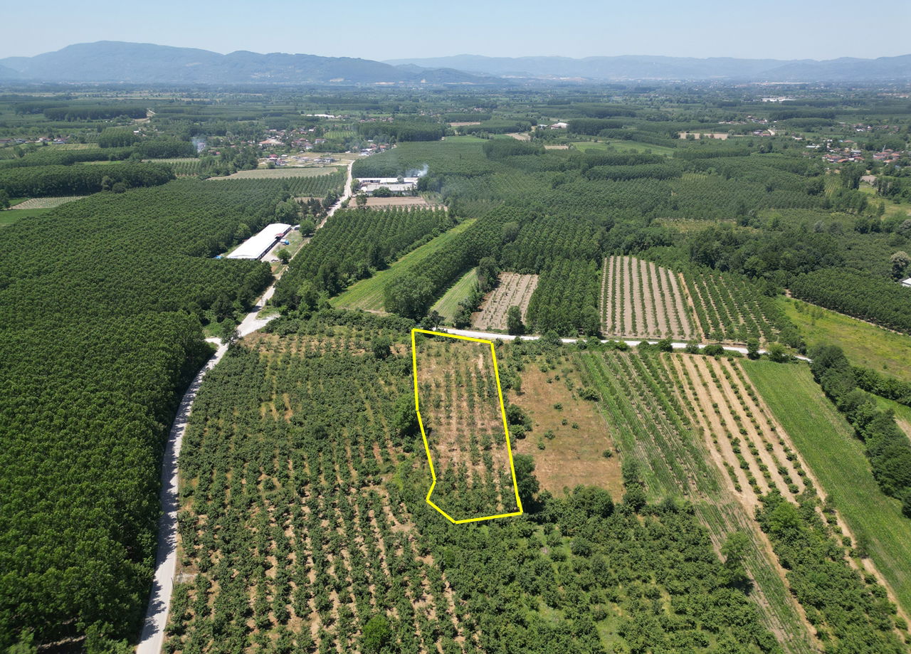 DURAKLAR KÖYÜ'NDE 5931 M2 SATILIK ARSA