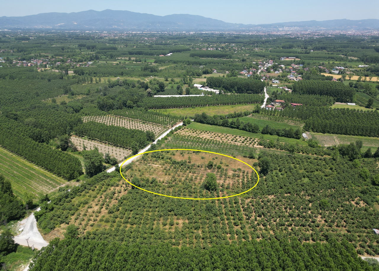 DURAKLAR KÖYÜ'NDE 5931 M2 SATILIK ARSA