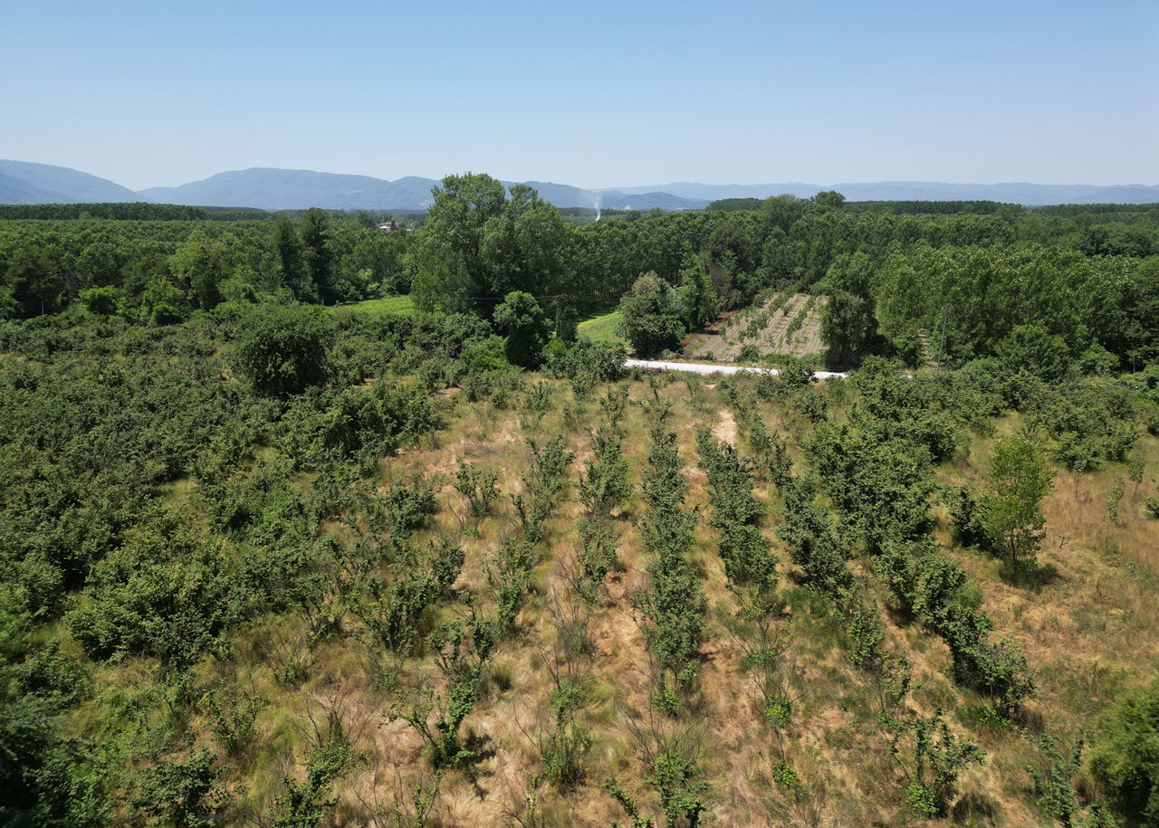 DURAKLAR KÖYÜ'NDE 5931 M2 SATILIK ARSA