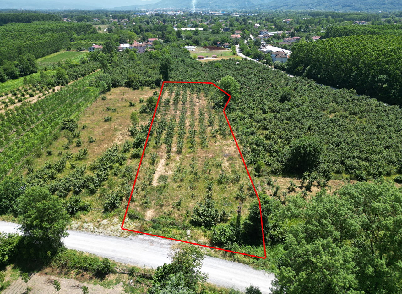 DURAKLAR KÖYÜ'NDE 5931 M2 SATILIK ARSA