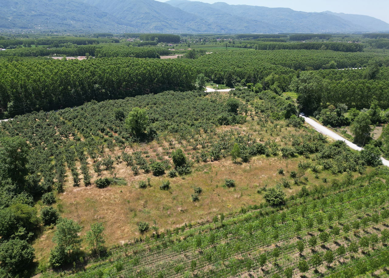 DURAKLAR KÖYÜ'NDE 5931 M2 SATILIK ARSA