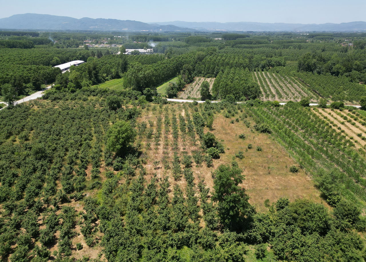 DURAKLAR KÖYÜ'NDE 5931 M2 SATILIK ARSA