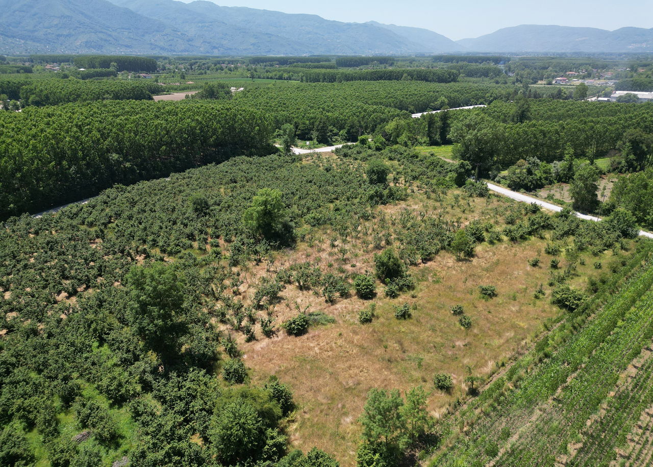 DURAKLAR KÖYÜ'NDE 5931 M2 SATILIK ARSA