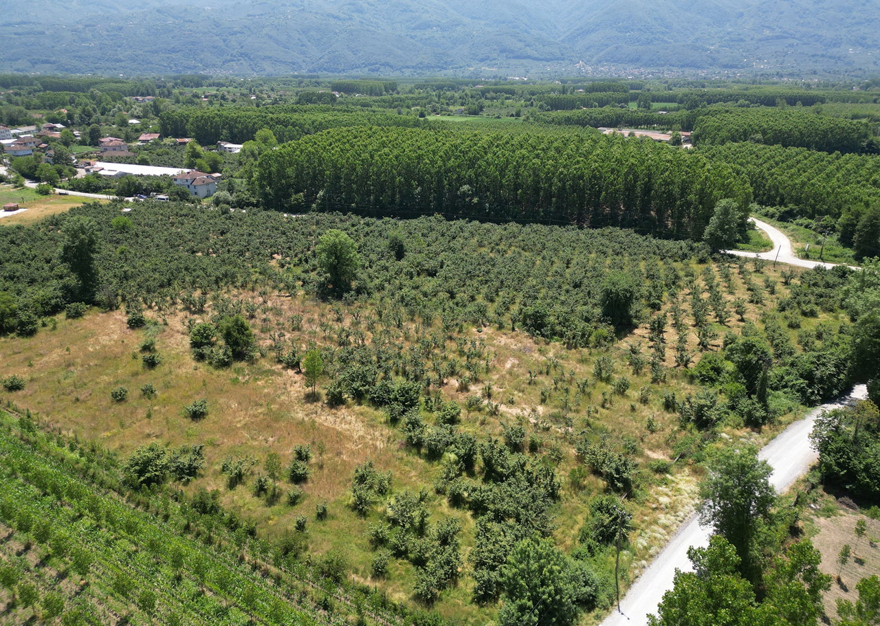 DURAKLAR KÖYÜ'NDE 5931 M2 SATILIK ARSA