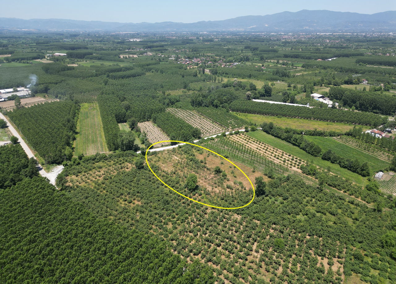 DURAKLAR KÖYÜ'NDE 5931 M2 SATILIK ARSA