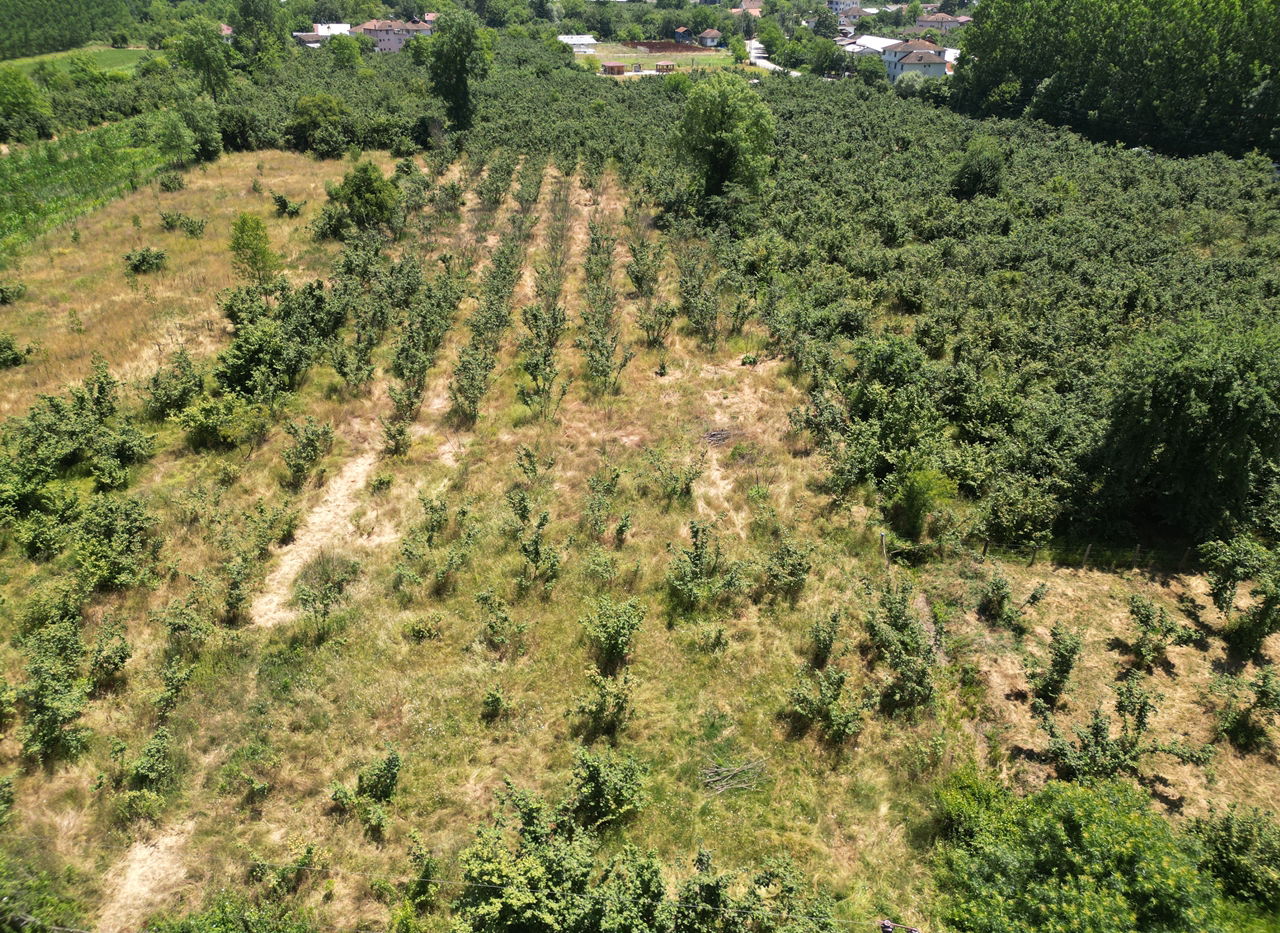 DURAKLAR KÖYÜ'NDE 5931 M2 SATILIK ARSA