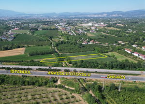 Düzce  Satılık  Arsa