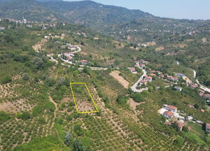 Düzce  Satılık  Arsa