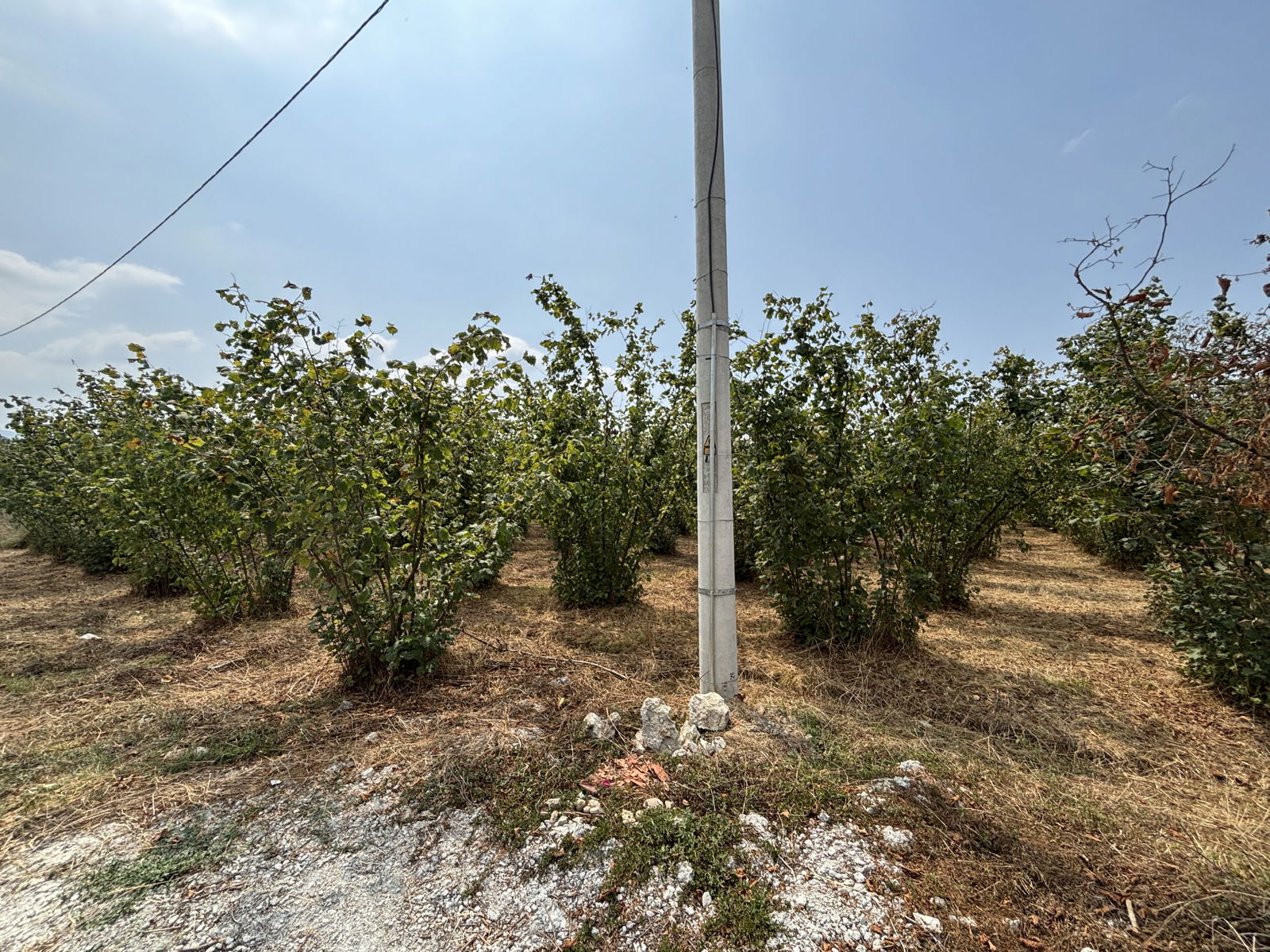 MUSABABA KÖYÜ'NDE 508 M2 SATILIK ARSA