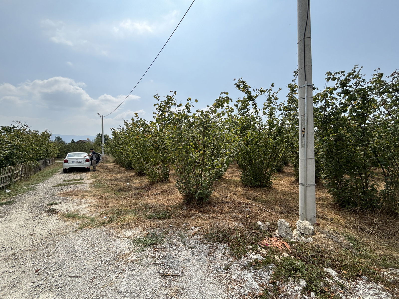 MUSABABA KÖYÜ'NDE 508 M2 SATILIK ARSA